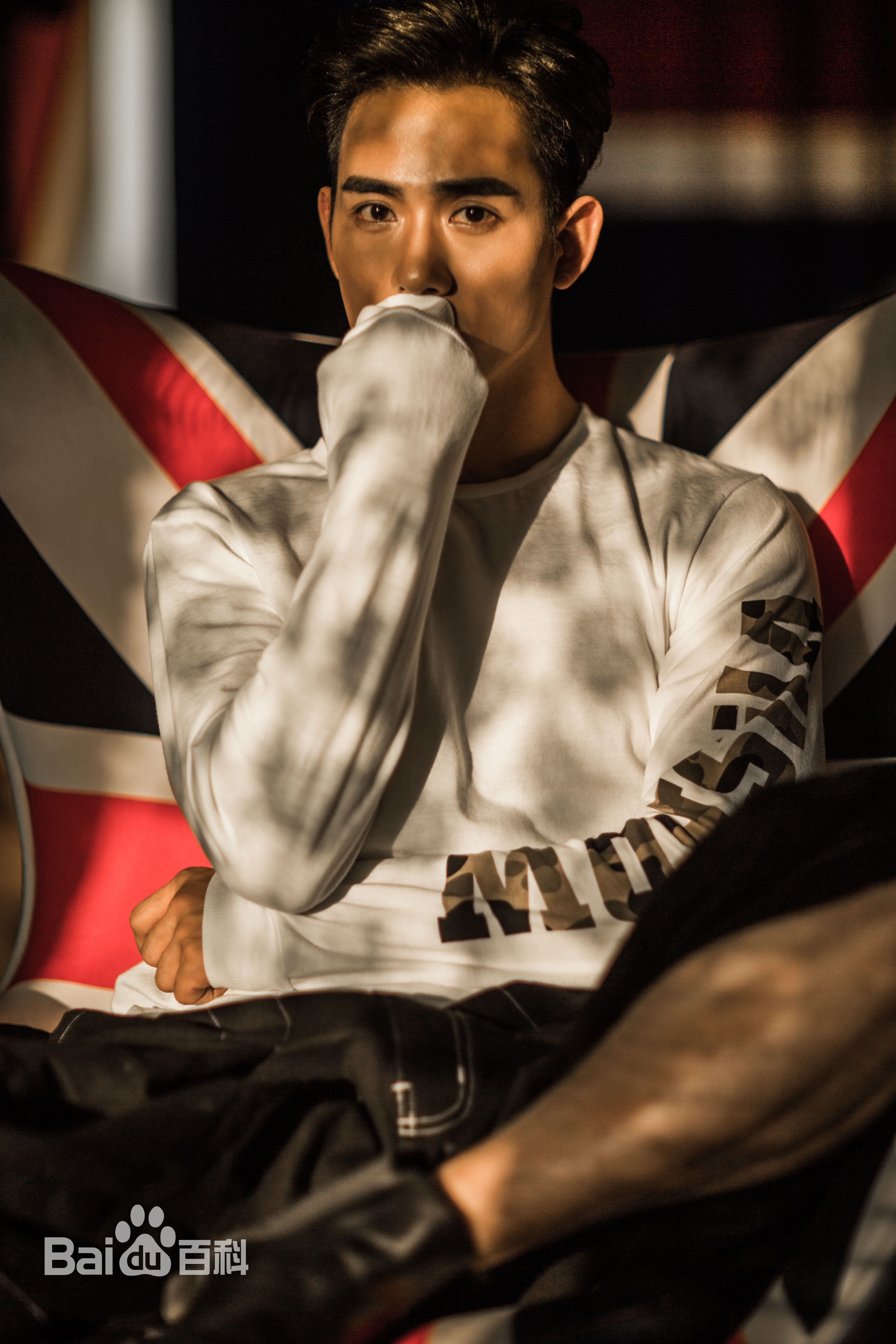 王子辰最全壁纸