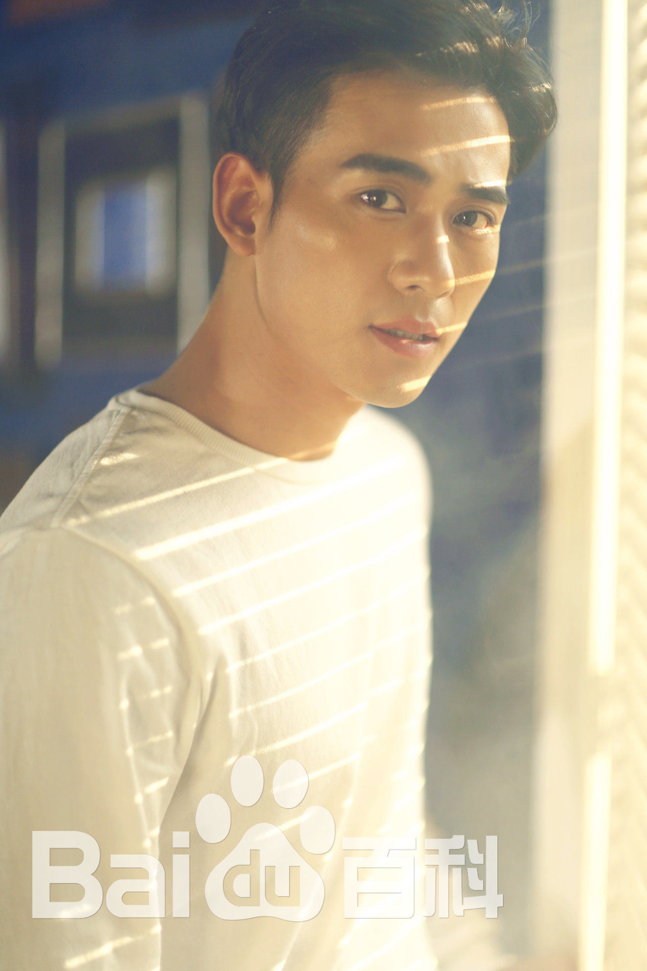 王子辰最全壁纸