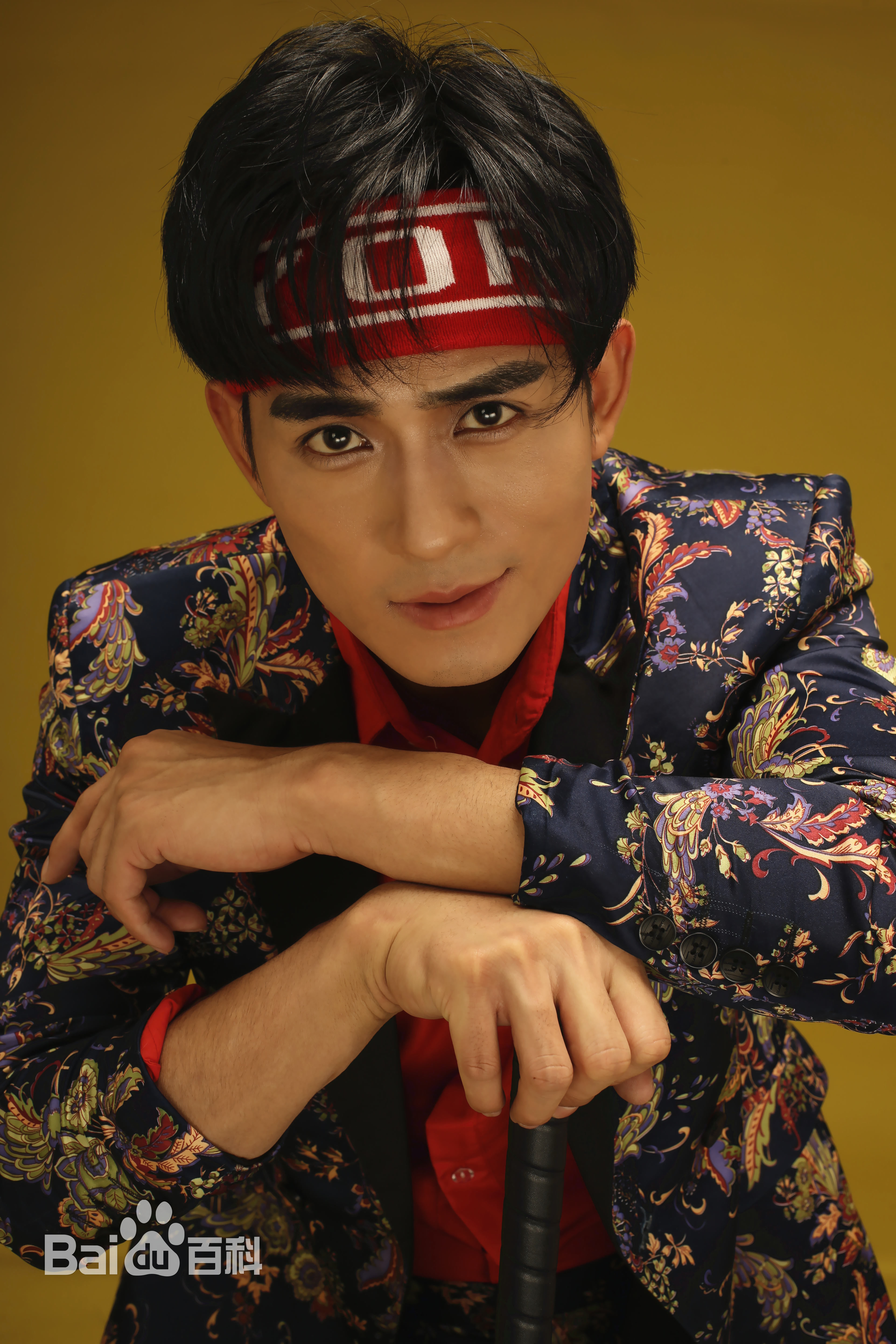 王子辰最全壁纸