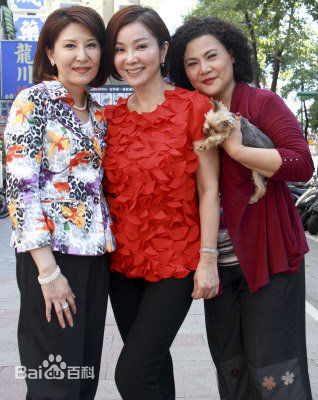 赵心妍年轻时候的图片图集