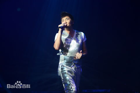 孙楠(Sun nan)2010年江阴楠得“痛快”演唱会图片图集
