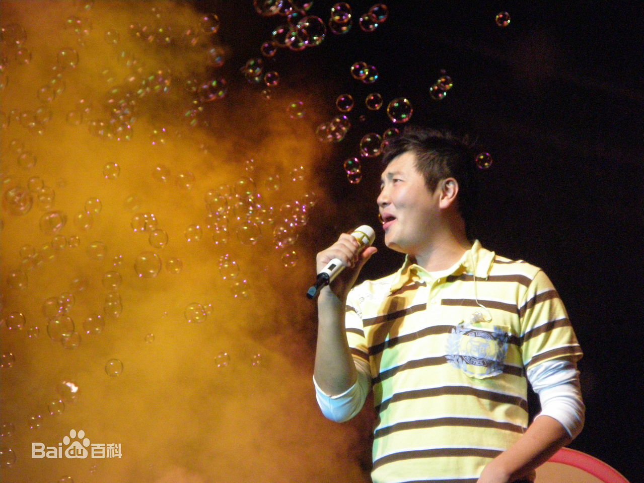 孙楠(Sun nan)歌友会图片图册