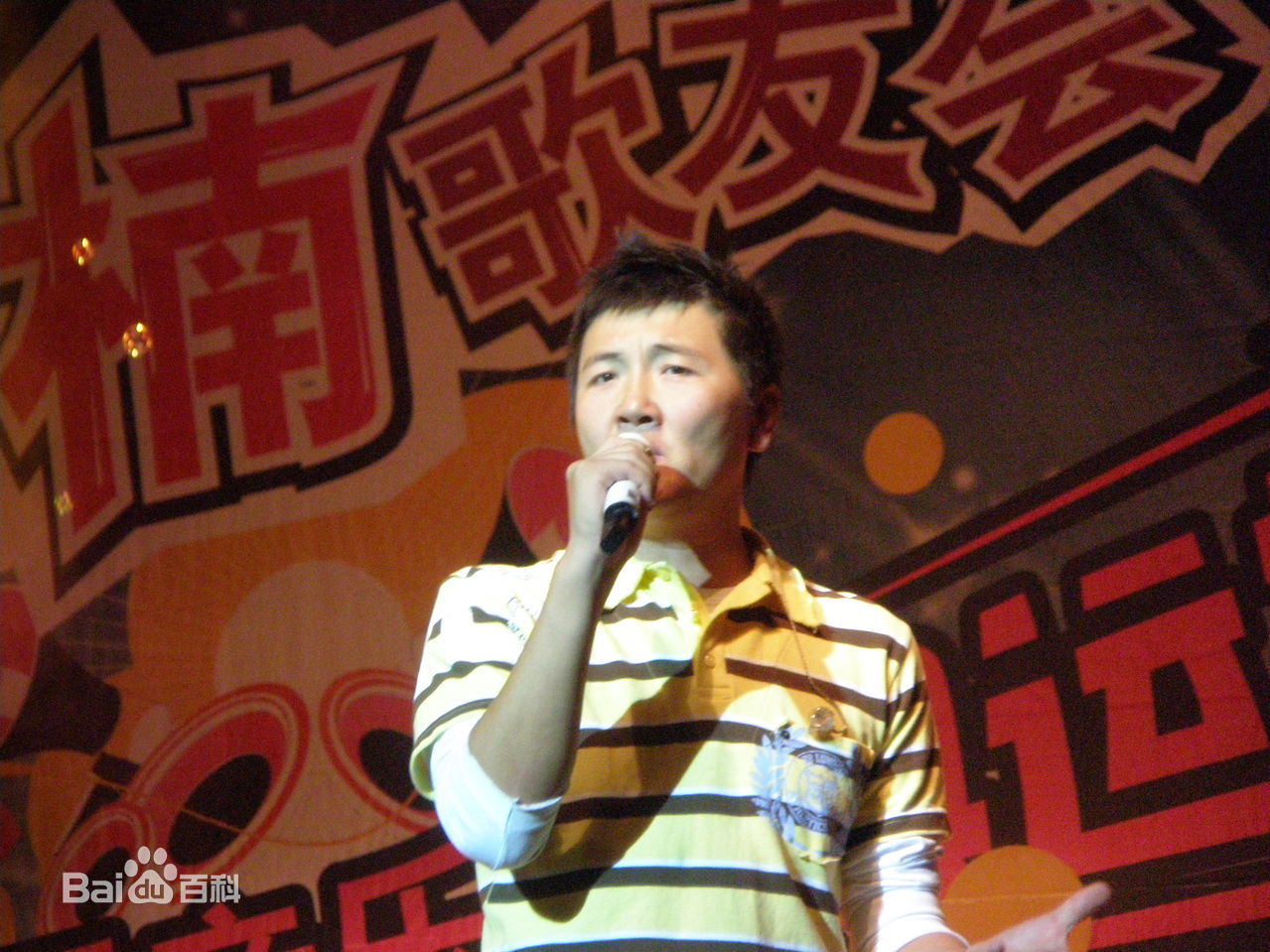 孙楠(Sun nan)歌友会图片图册