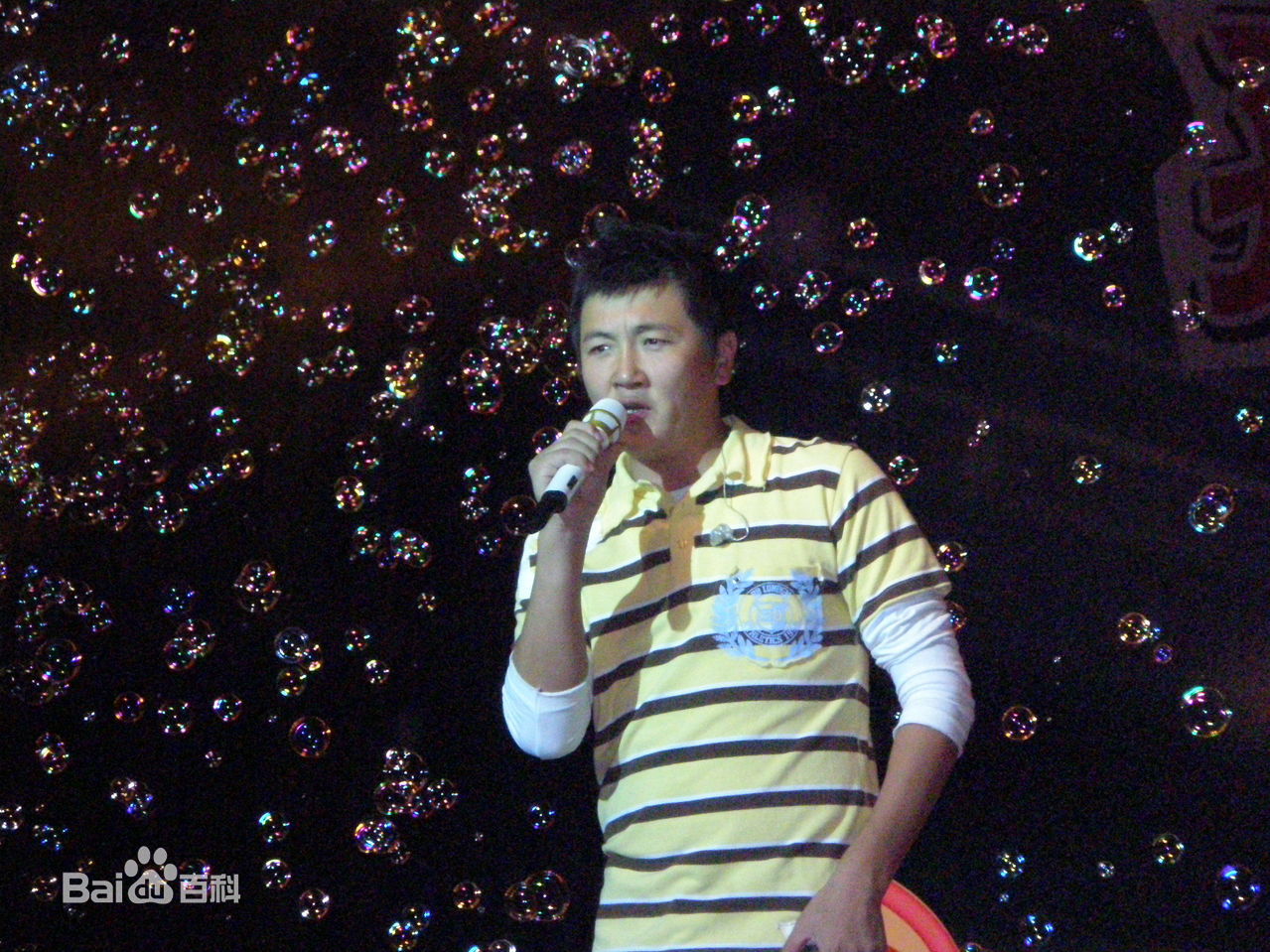 孙楠(Sun nan)歌友会图片图册