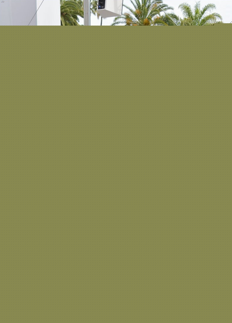 托德·海因斯(Todd Haynes)出席戛纳国际电影节前后照片