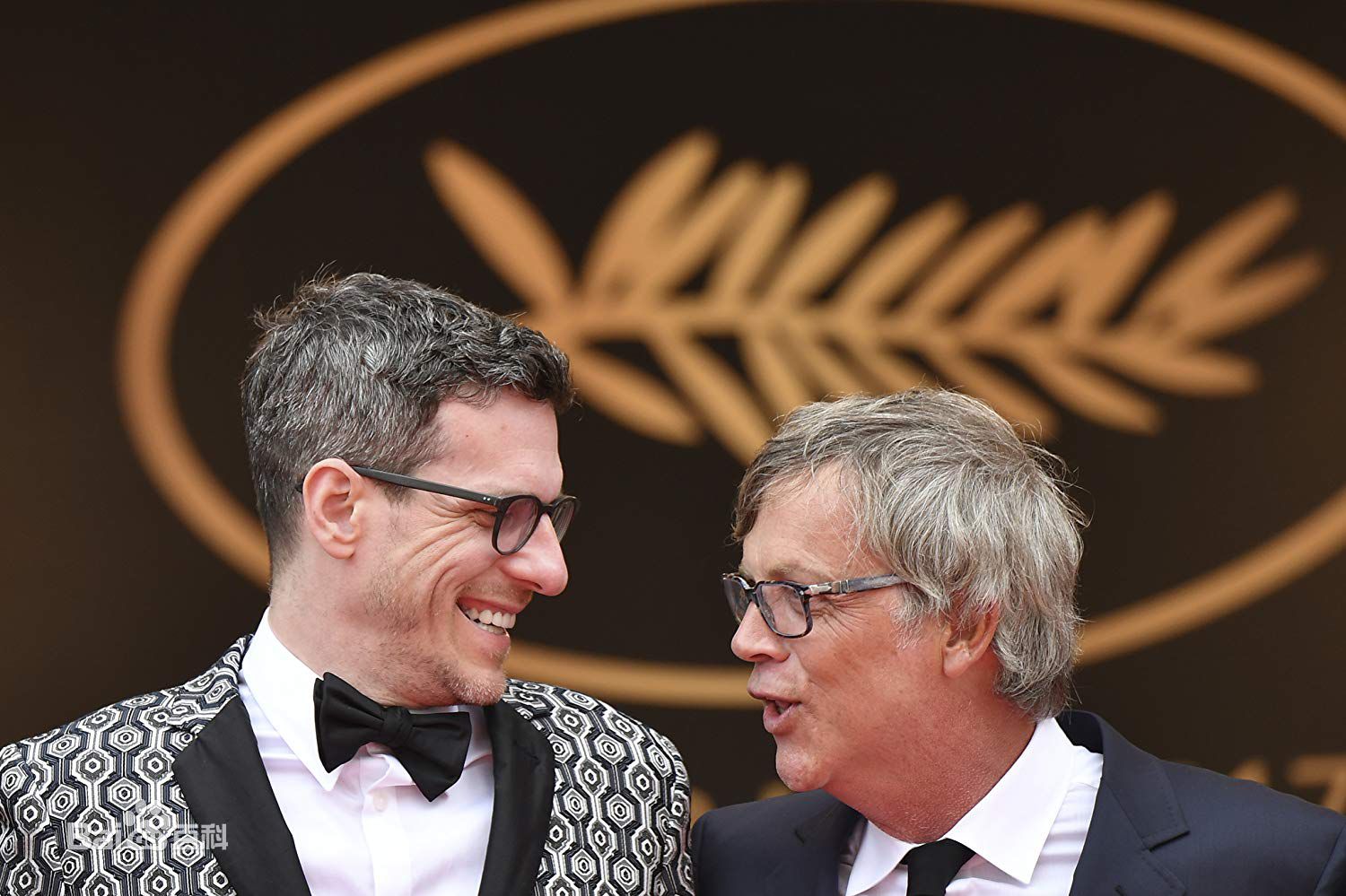 托德·海因斯(Todd Haynes)出席戛纳国际电影节前后照片