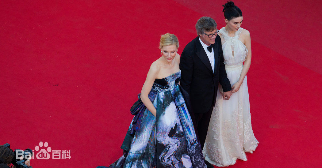 托德·海因斯(Todd Haynes)出席戛纳国际电影节前后照片