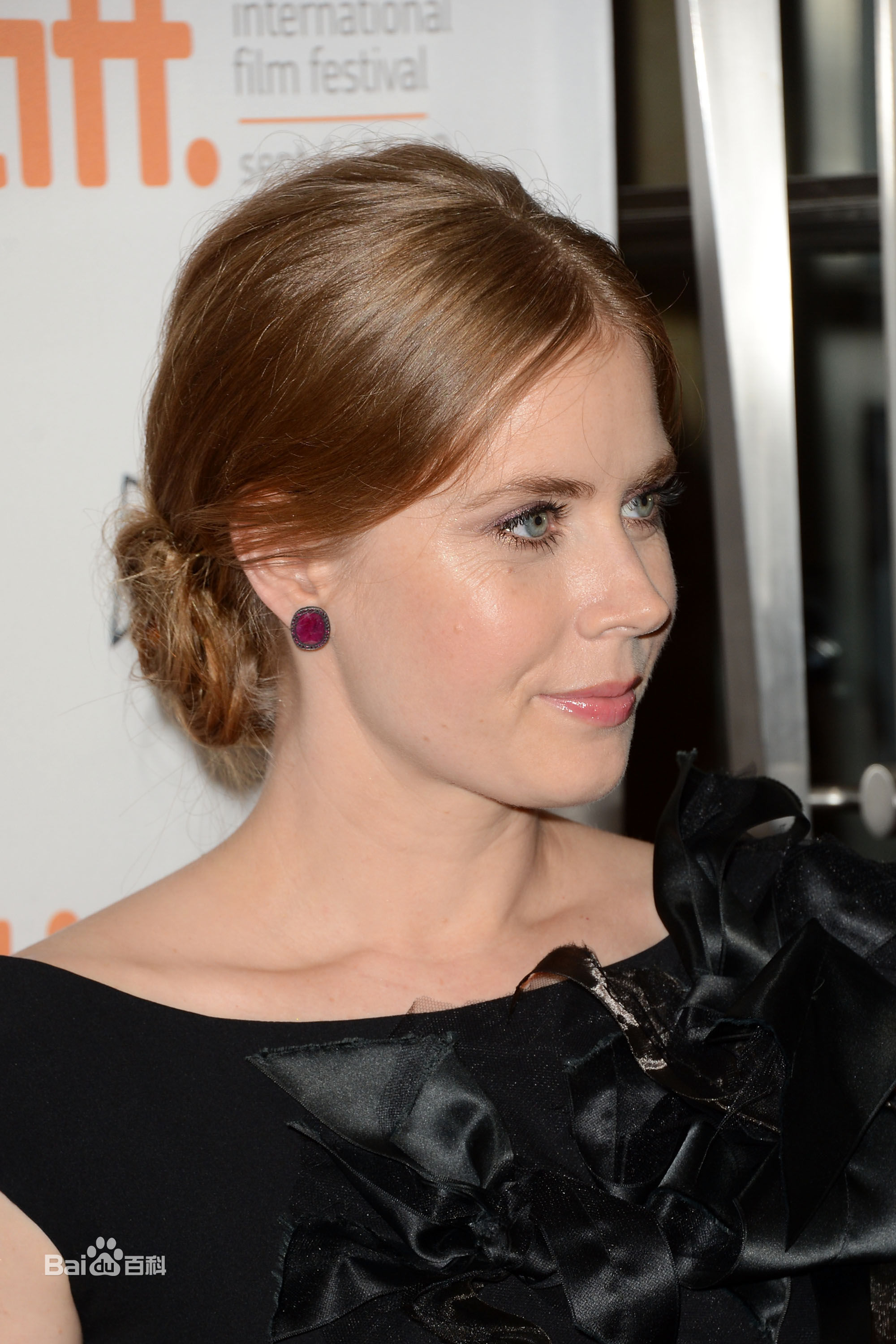 最优质艾米·亚当斯(Amy Adams)精彩图册