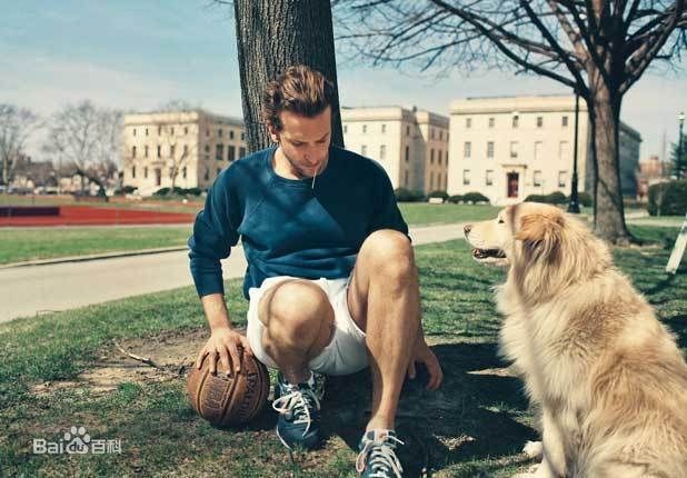 高清布莱德利·库珀(Bradley Cooper)精彩图册