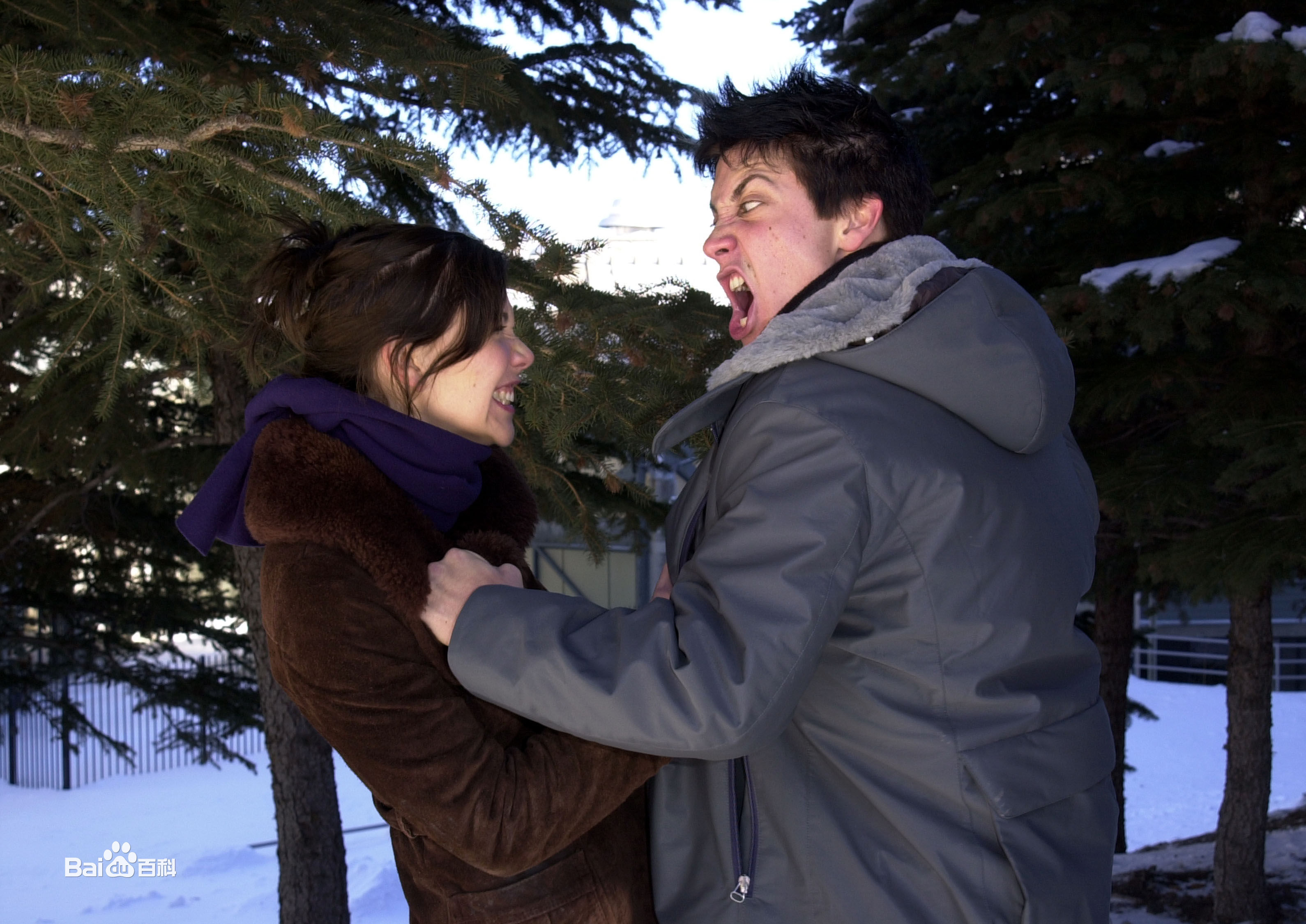 精选玛吉·吉伦哈尔(Maggie Gyllenhaal、Margolit Ruth Gyllenhaal)