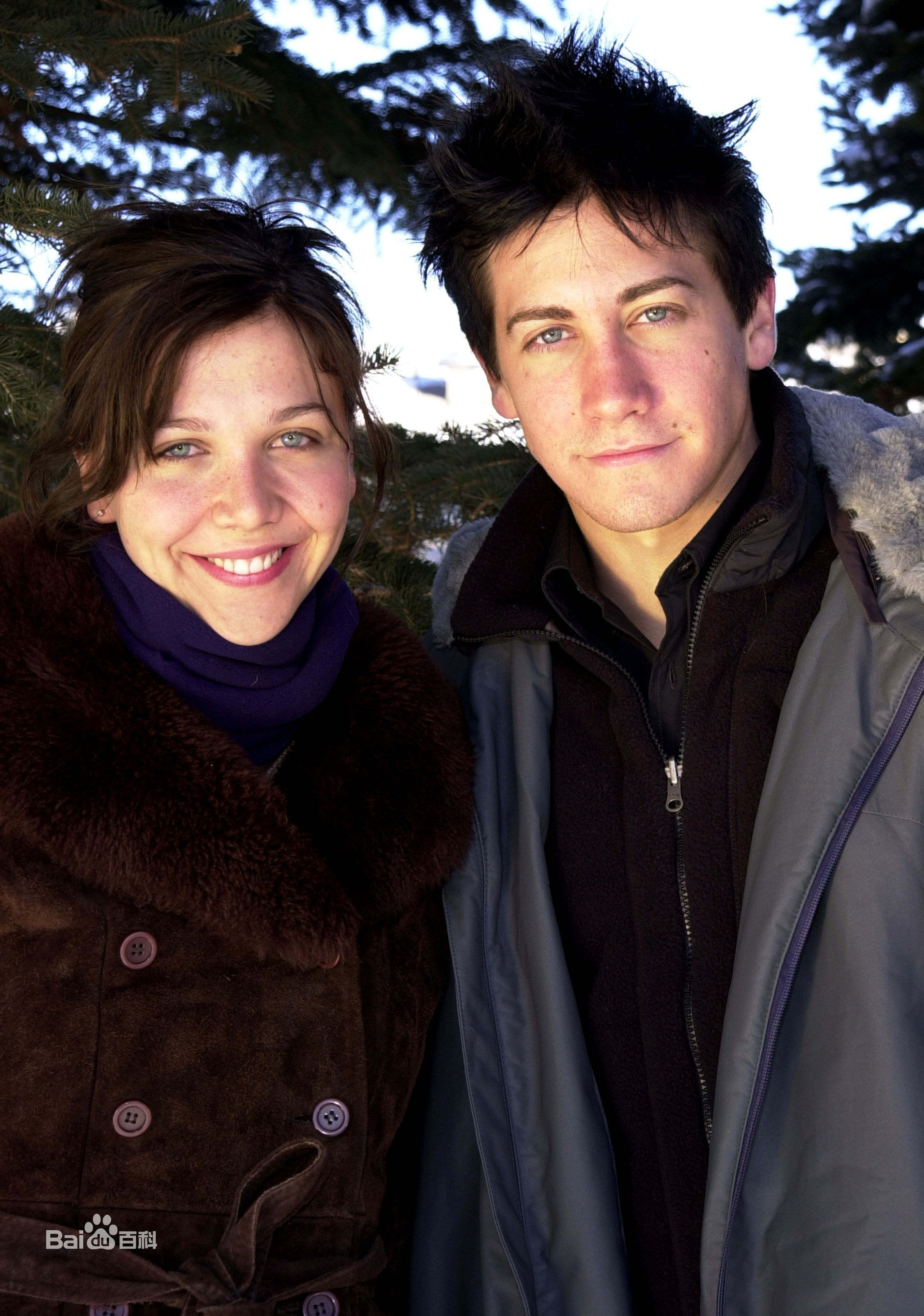 最全玛吉·吉伦哈尔(Maggie Gyllenhaal、Margolit Ruth Gyllenhaal)精彩图册