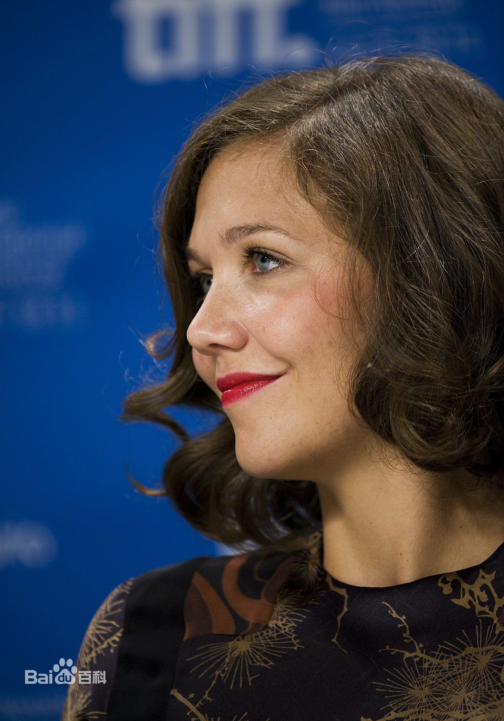 最全玛吉·吉伦哈尔(Maggie Gyllenhaal、Margolit Ruth Gyllenhaal)精彩图册