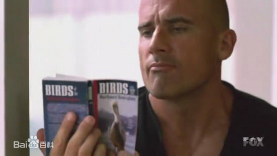 最优质多米尼克·珀塞尔(Dominic Purcell)精彩图册