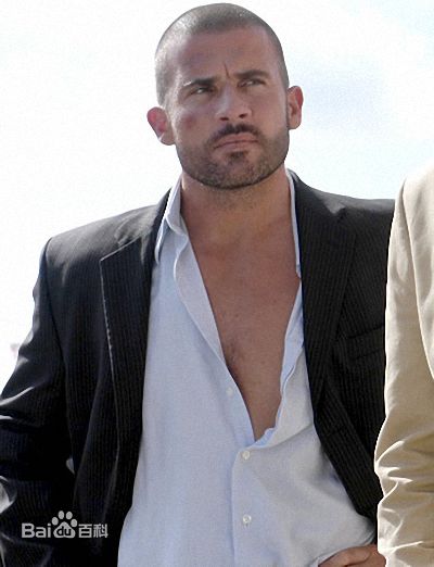 最优质多米尼克·珀塞尔(Dominic Purcell)精彩图册