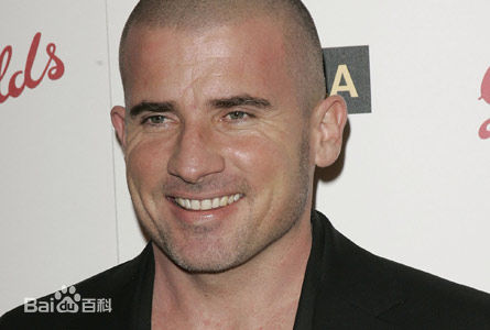 最优质多米尼克·珀塞尔(Dominic Purcell)精彩图册