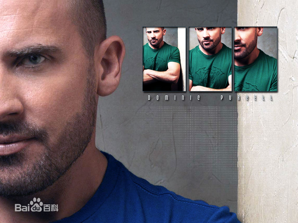 最全多米尼克·珀塞尔(Dominic Purcell)精彩图册