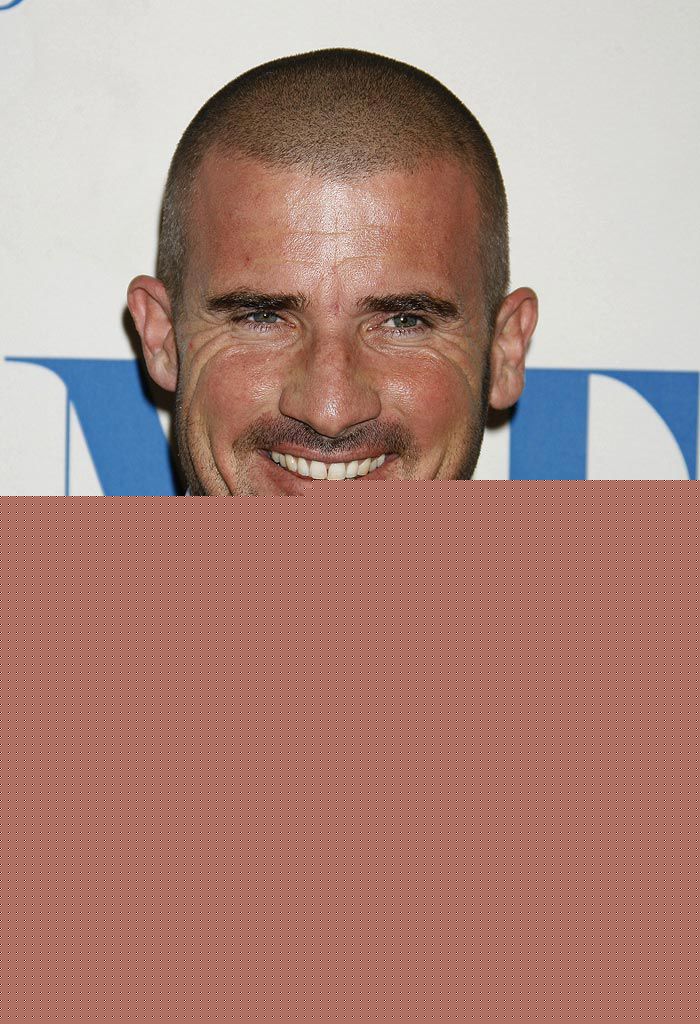 最全多米尼克·珀塞尔(Dominic Purcell)精彩图册