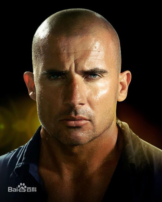 最全多米尼克·珀塞尔(Dominic Purcell)精彩图册