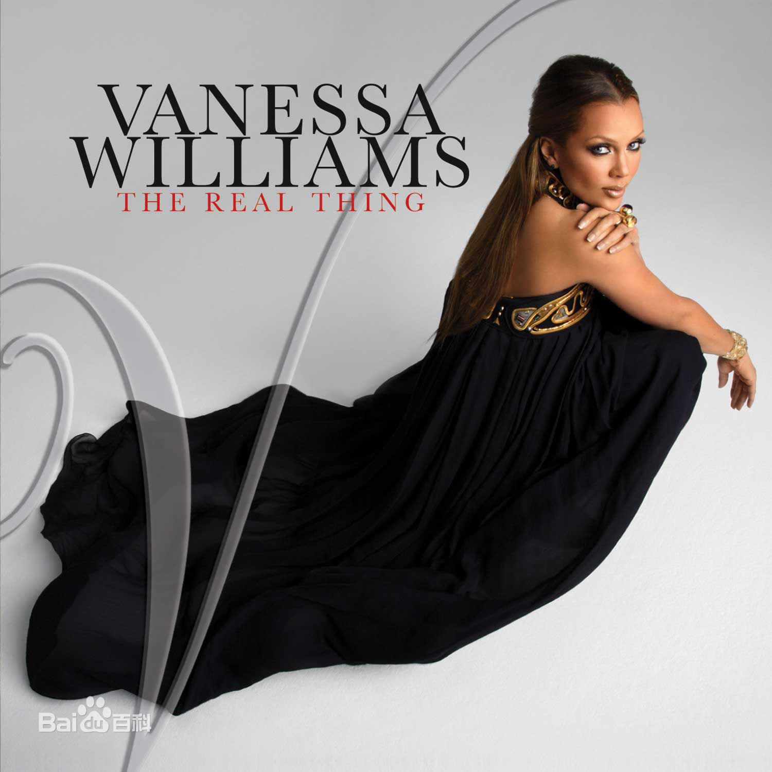 精选凡妮莎·威廉斯(Vanessa Williams)