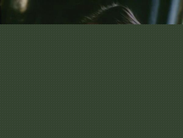 最全鲁伯特·艾弗雷特(Rupert Everett)精彩图册