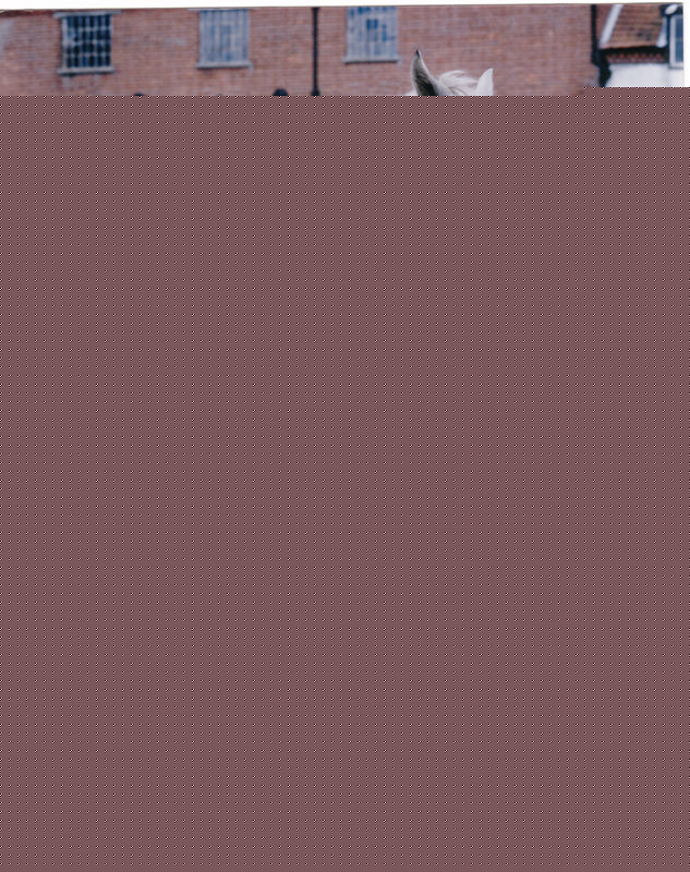 精选艾米丽·沃森(Emily Watson)精彩图册