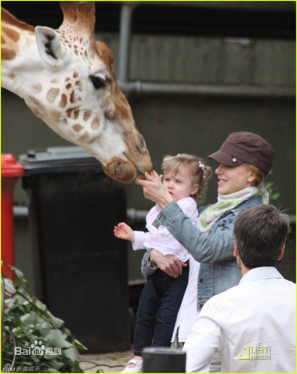 高清妮可·基德曼(Nicole Kidman)精彩图册