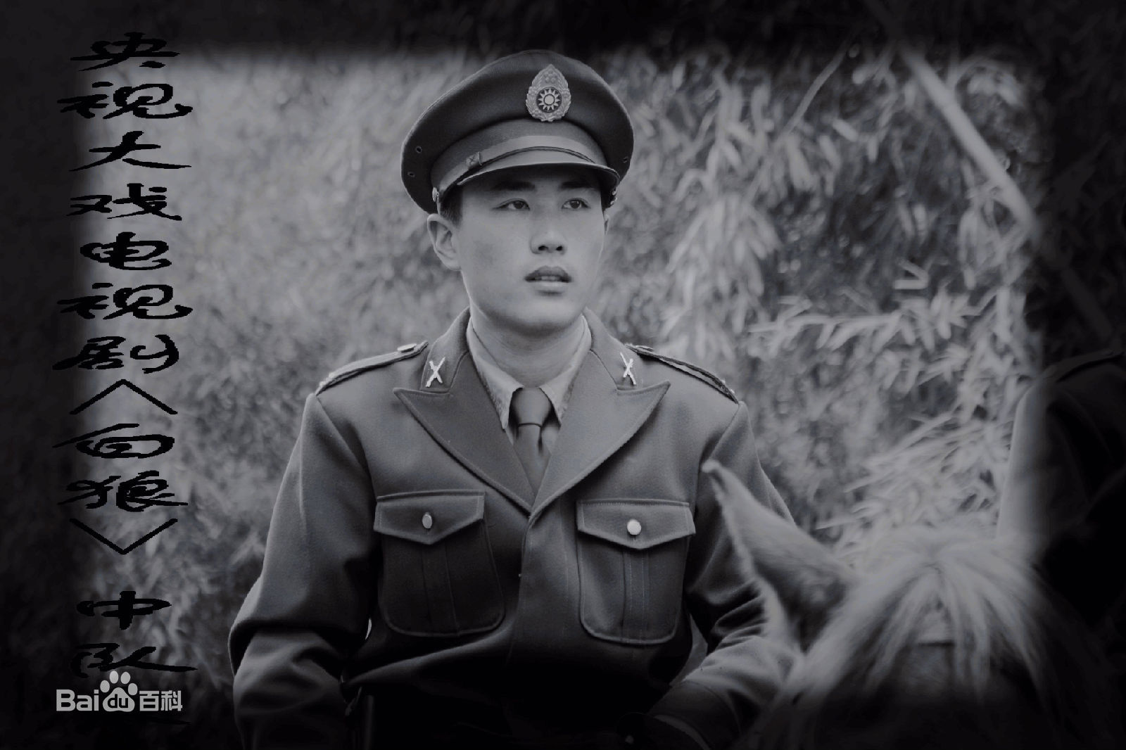 池瑞波在电视连续剧《白狼》中的