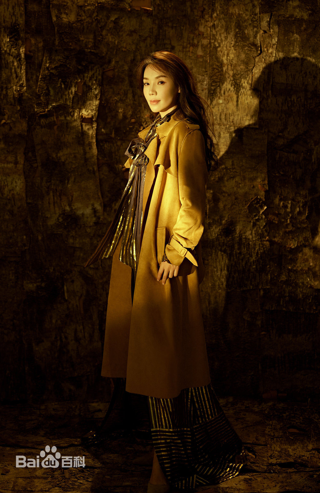 戴玮电影工作及媒体活动生活照相册