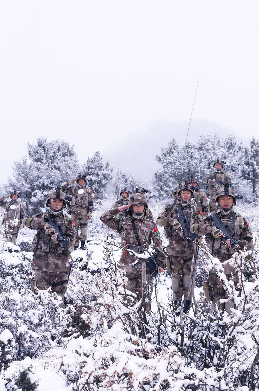 高艺丹《突击再突击》最全剧照
