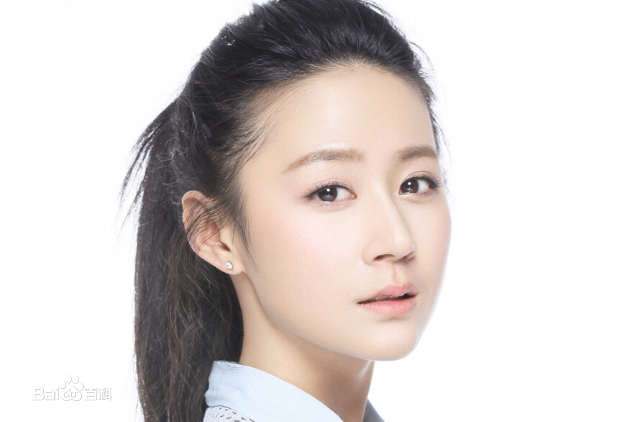 高艺丹概述图册图册