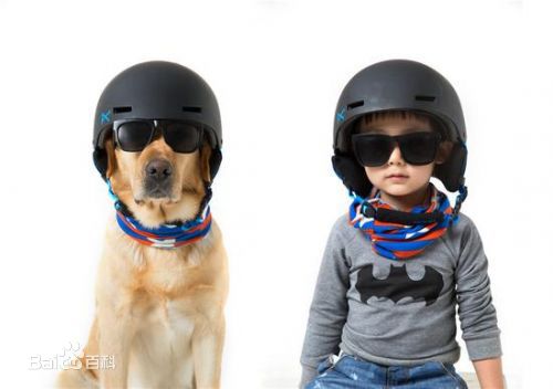 刘倩文《神犬小七》最全剧照