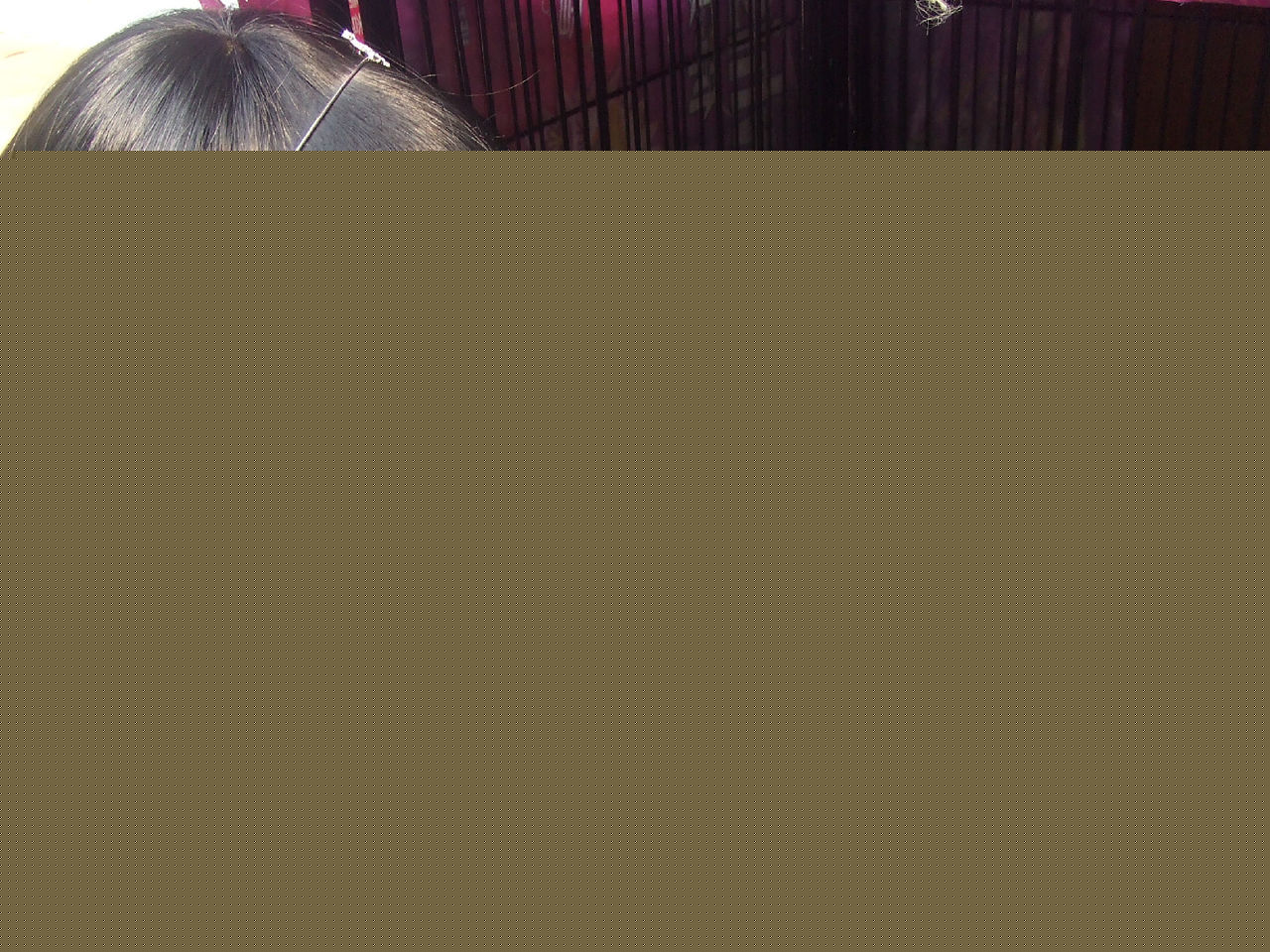 阳蕾(Shine Yang)公益照素颜照相册