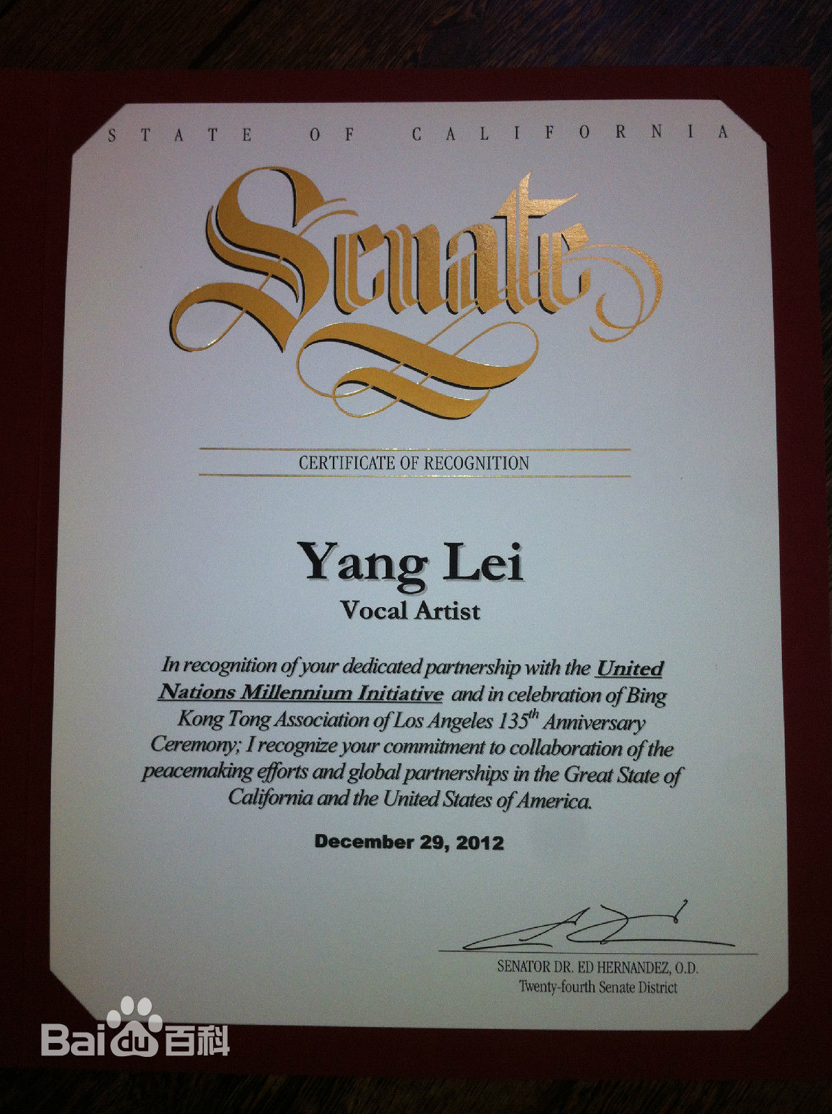 阳蕾(Shine Yang)国际获奖殊荣性感图片图集