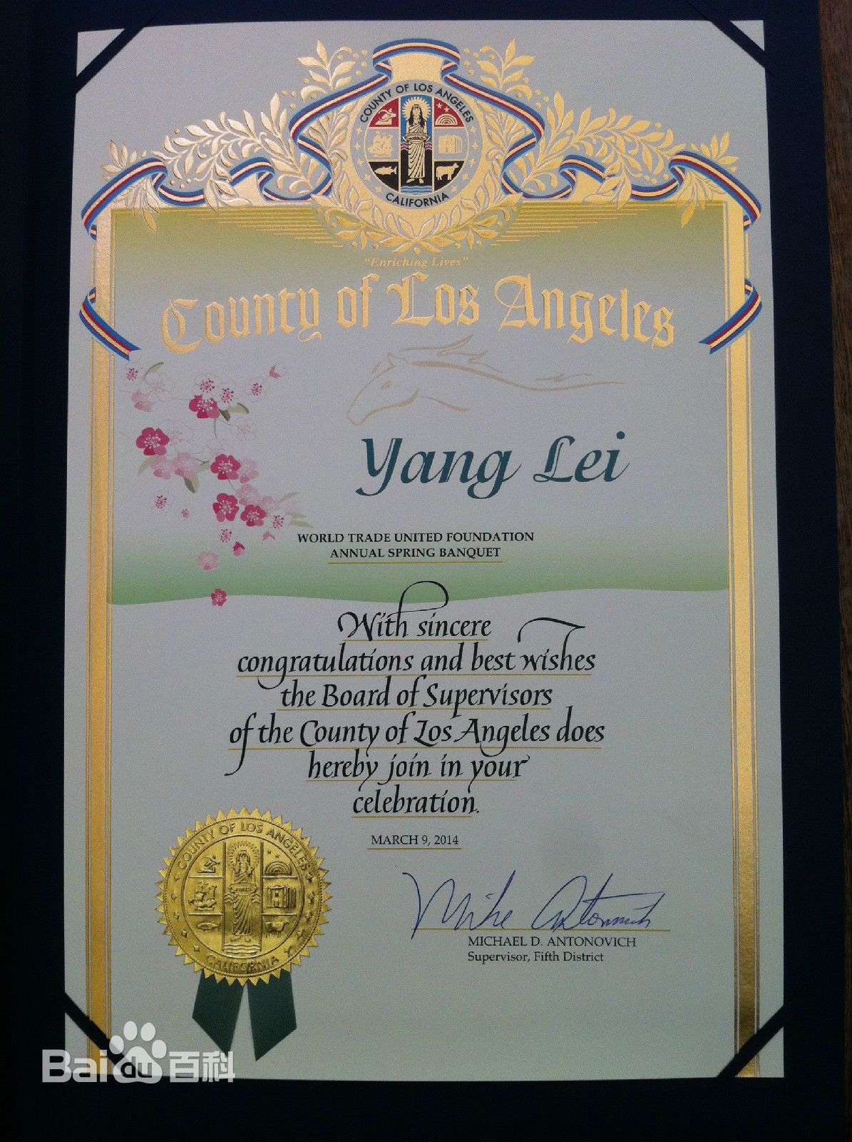 阳蕾(Shine Yang)国际获奖殊荣性感图片图集