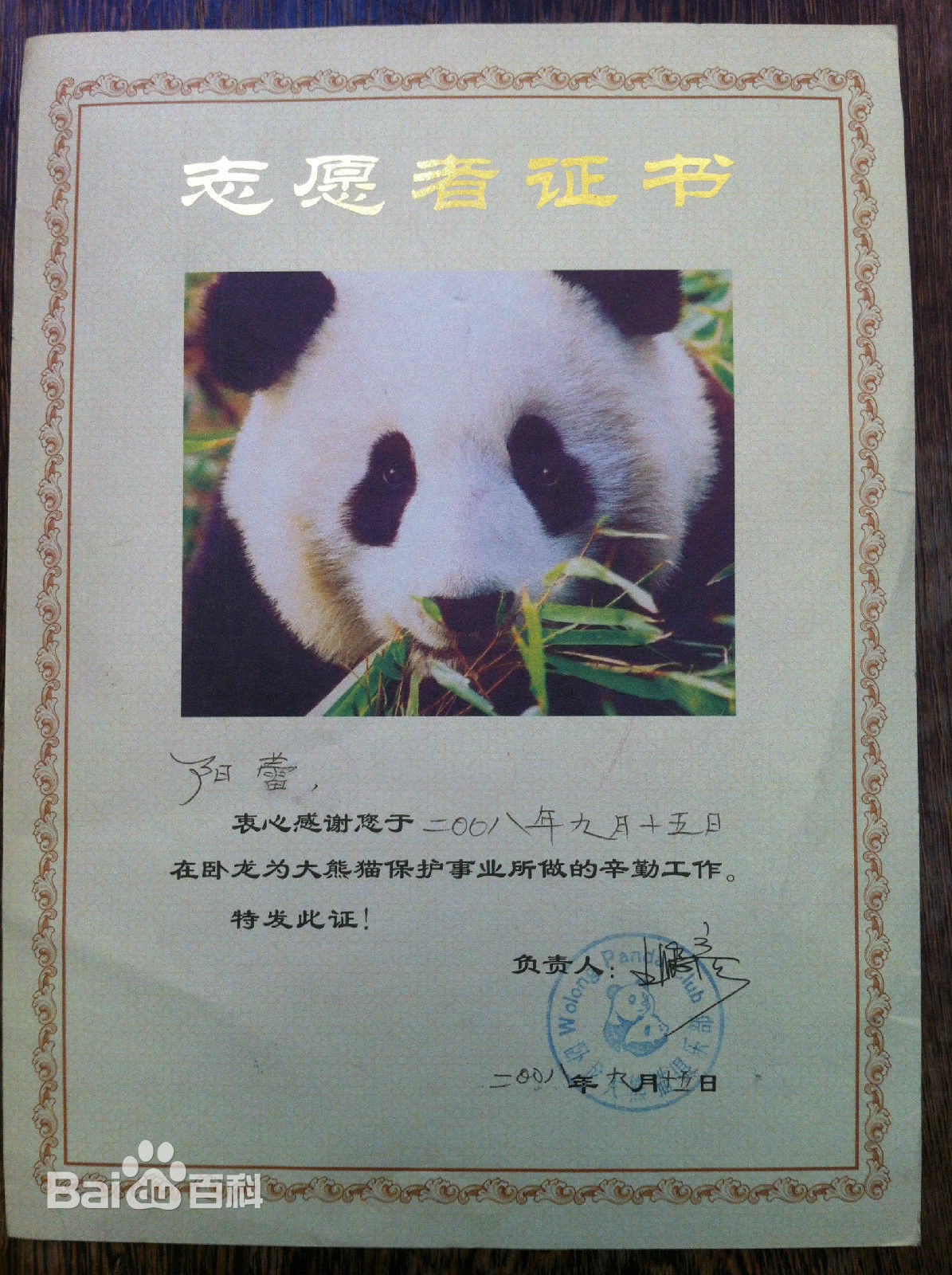 阳蕾(Shine Yang)国际获奖殊荣性感图片图集