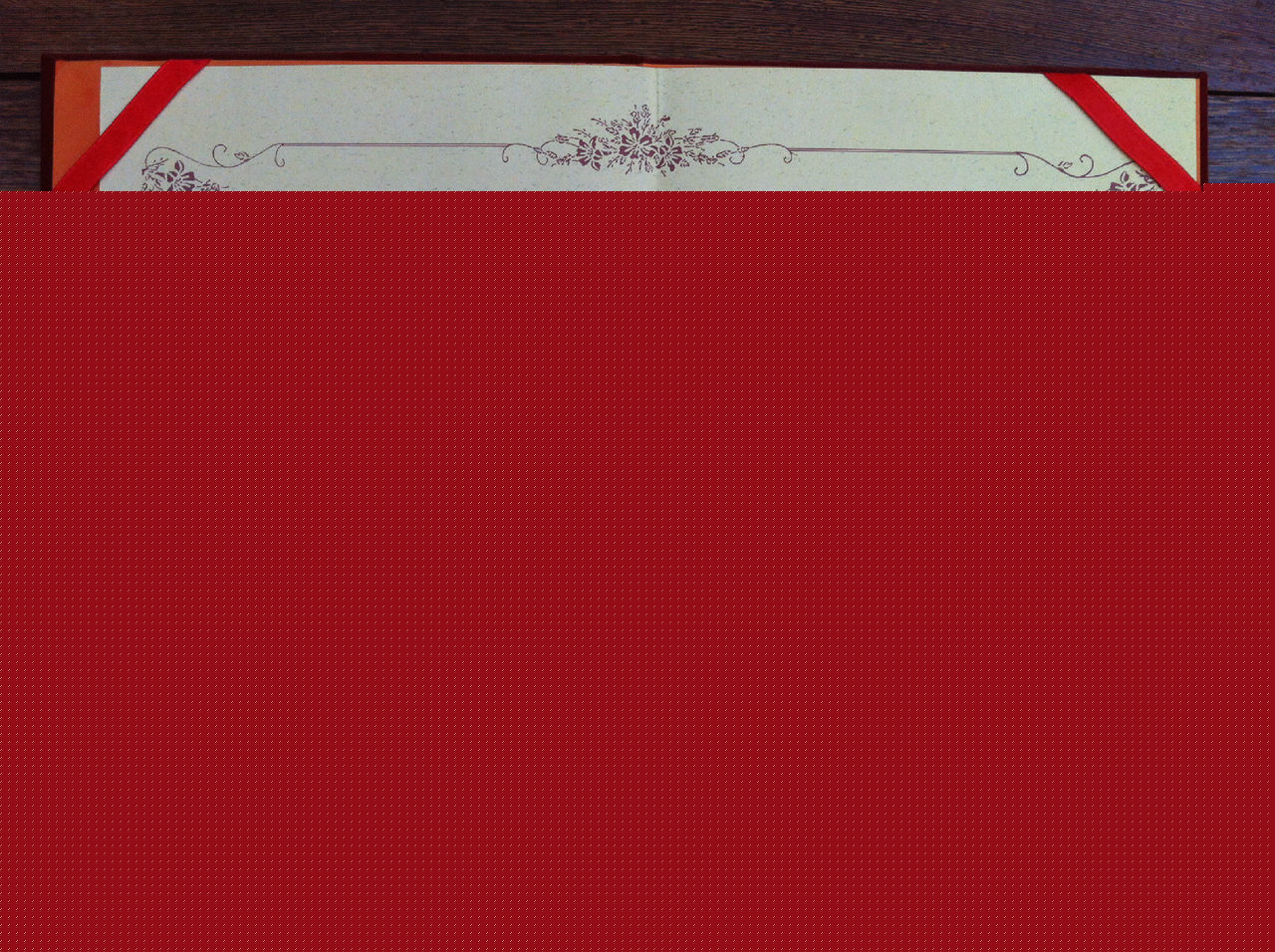 阳蕾(Shine Yang)国际获奖殊荣性感图片图集