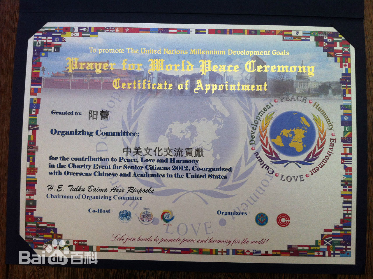 阳蕾(Shine Yang)国际获奖殊荣性感图片图集