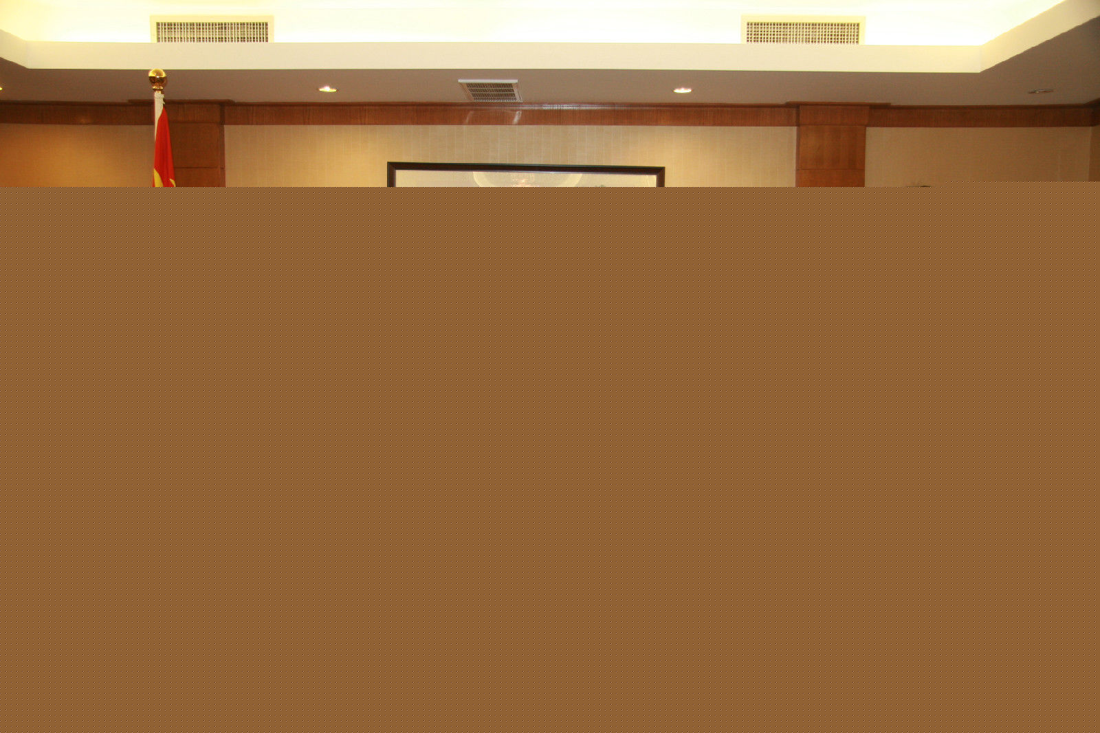 阳蕾(Shine Yang)世贸慈善活动生活照