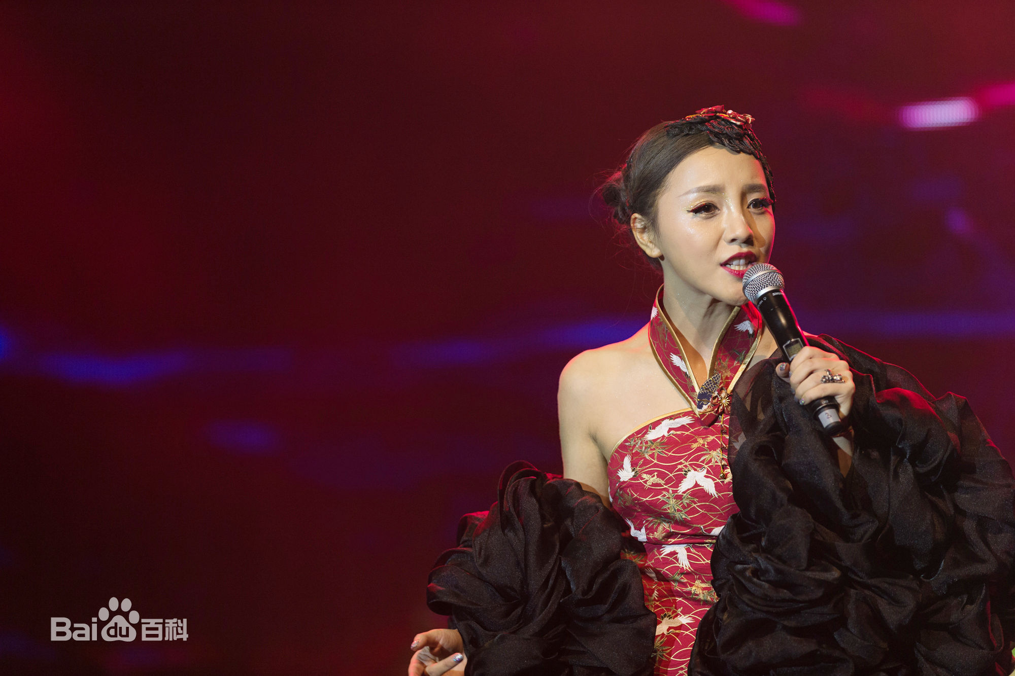 阳蕾(Shine Yang)“生命之蕾”个人全球巡回演唱会前后照片