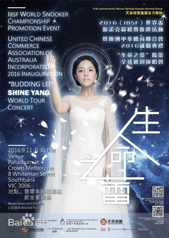 阳蕾(Shine Yang)“生命之蕾”个人全球巡回演唱会前后照片