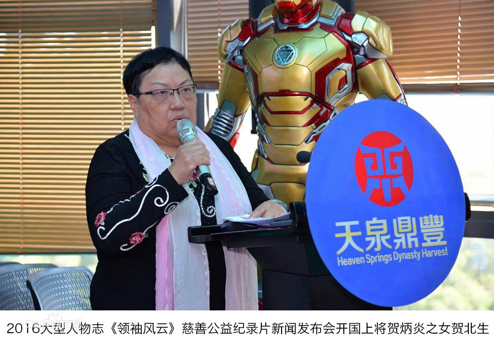 阳蕾(Shine Yang)影视最新剧照,电影策划、节目监制