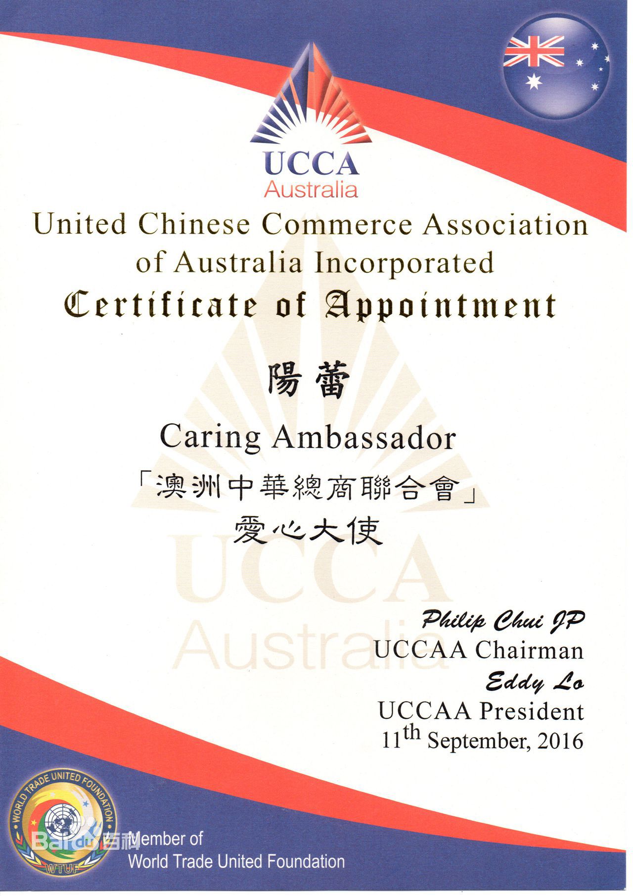 阳蕾(Shine Yang)荣誉表彰及社会活动生活照相册