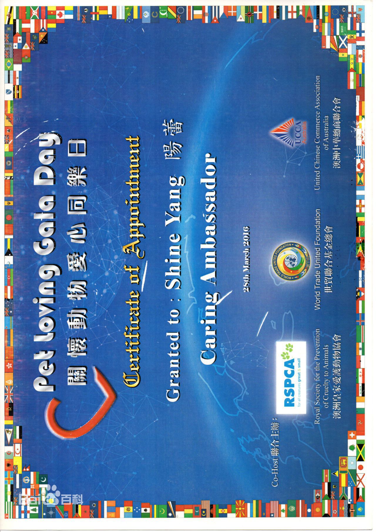 阳蕾(Shine Yang)荣誉表彰及社会活动生活照相册