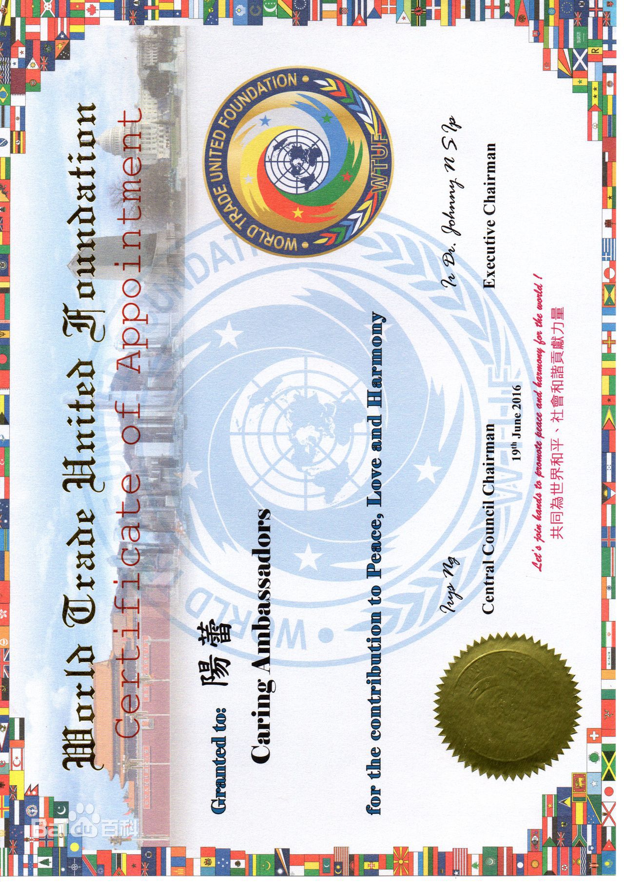 阳蕾(Shine Yang)荣誉表彰及社会活动生活照相册