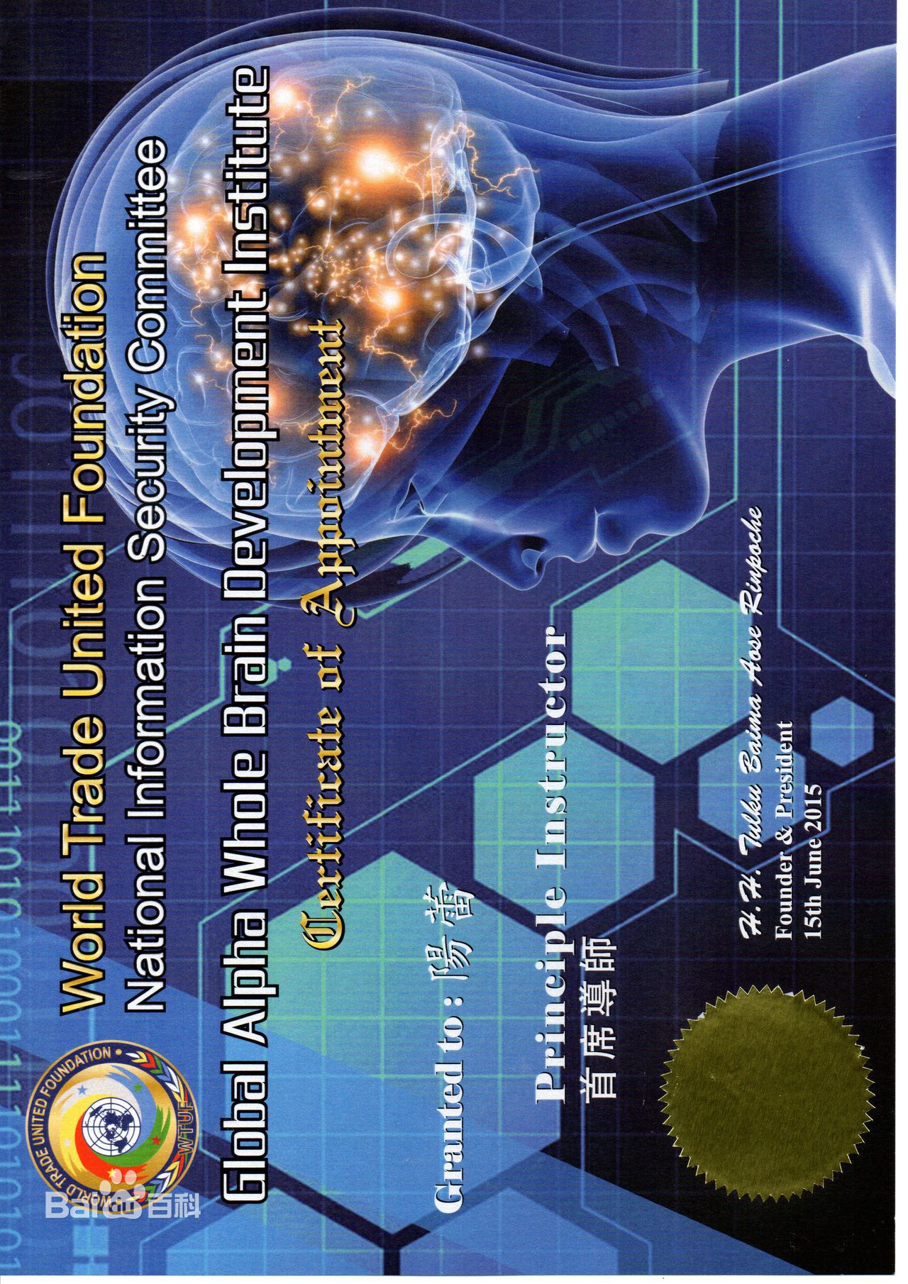 阳蕾(Shine Yang)荣誉表彰及社会活动生活照相册