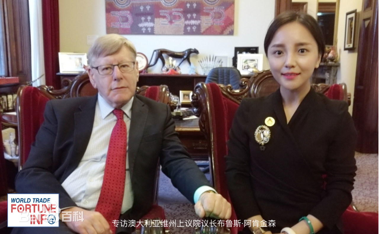 阳蕾(Shine Yang)荣誉表彰及社会活动生活照相册