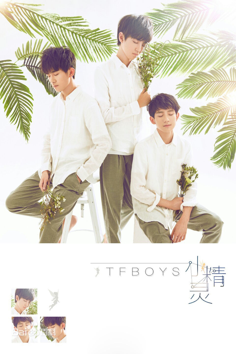 加油男孩组合(TFBOYS)演唱歌曲性感图片壁纸