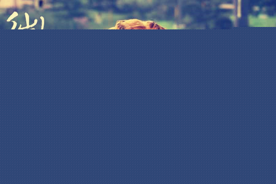 涂彦倪《微爱之渐入佳境》高清剧照