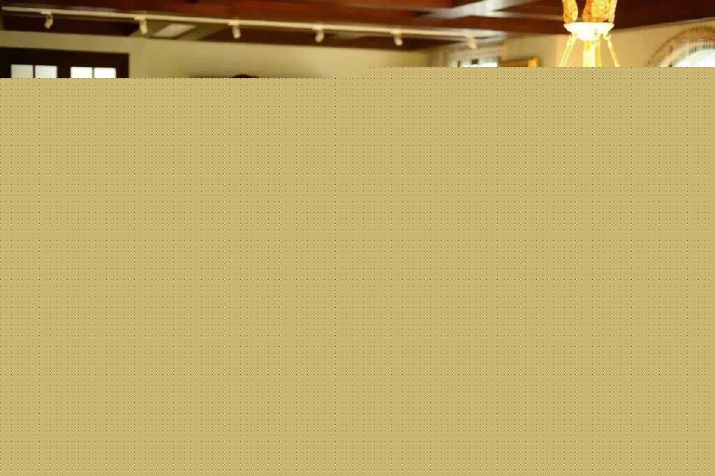 史晓燕(Celia Shi)伊力诺依董事长素颜照壁纸