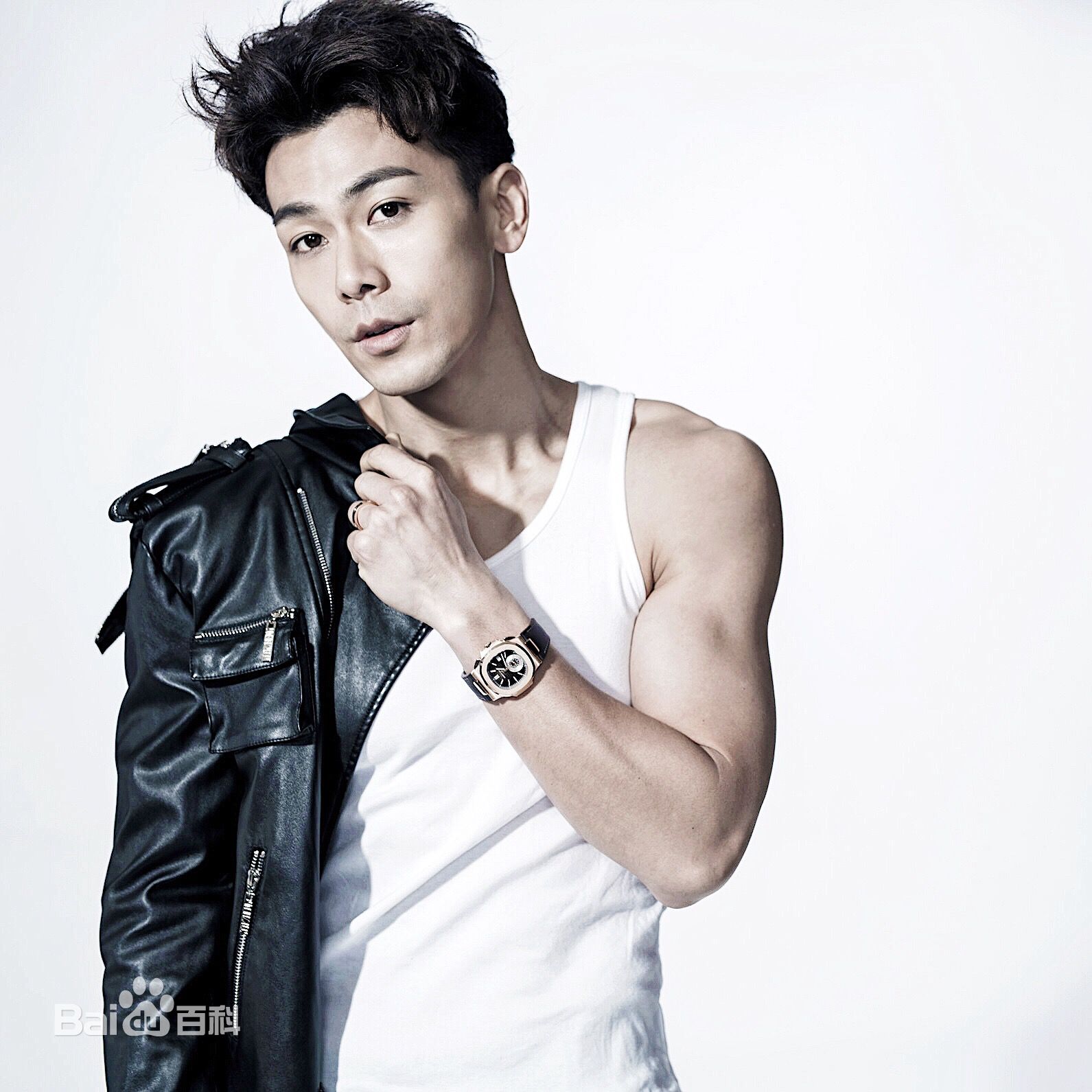 戴向宇最全壁纸